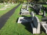 image of grave number 932940